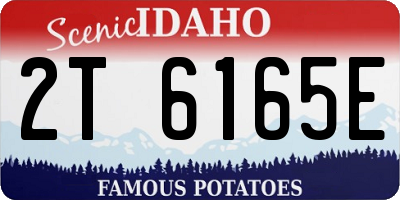 ID license plate 2T6165E