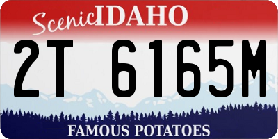 ID license plate 2T6165M