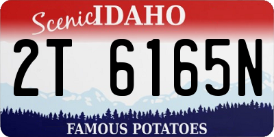ID license plate 2T6165N