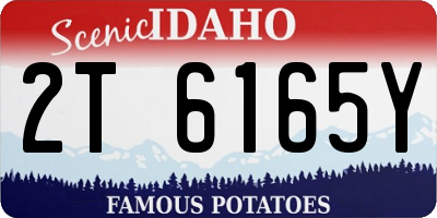 ID license plate 2T6165Y