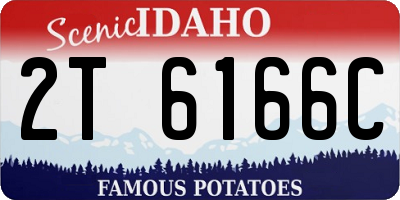 ID license plate 2T6166C
