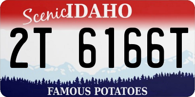 ID license plate 2T6166T