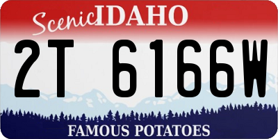 ID license plate 2T6166W
