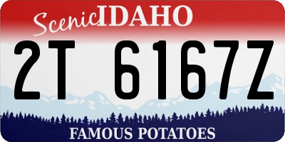 ID license plate 2T6167Z