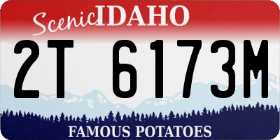 ID license plate 2T6173M