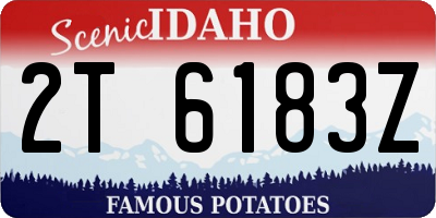 ID license plate 2T6183Z