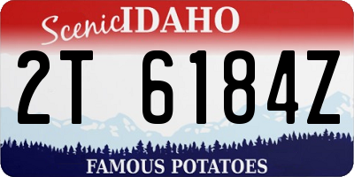 ID license plate 2T6184Z