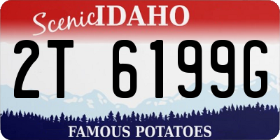 ID license plate 2T6199G