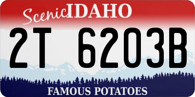 ID license plate 2T6203B