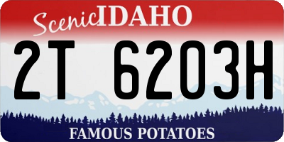 ID license plate 2T6203H