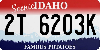 ID license plate 2T6203K