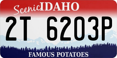 ID license plate 2T6203P