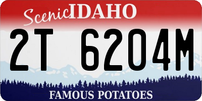 ID license plate 2T6204M