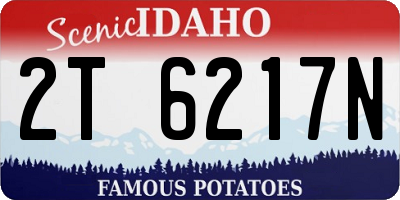 ID license plate 2T6217N