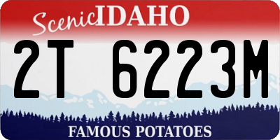 ID license plate 2T6223M