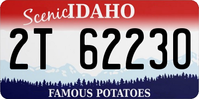 ID license plate 2T6223O