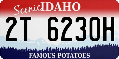 ID license plate 2T6230H