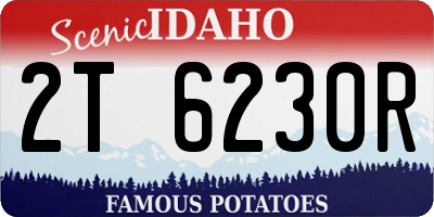ID license plate 2T6230R