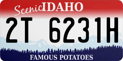ID license plate 2T6231H