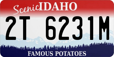 ID license plate 2T6231M