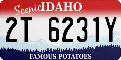 ID license plate 2T6231Y