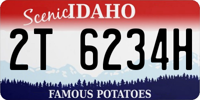 ID license plate 2T6234H