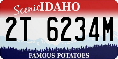 ID license plate 2T6234M