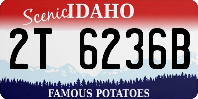 ID license plate 2T6236B