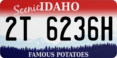 ID license plate 2T6236H