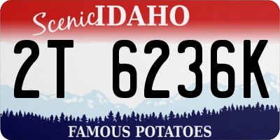 ID license plate 2T6236K