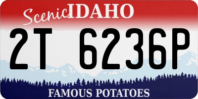 ID license plate 2T6236P