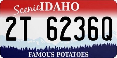 ID license plate 2T6236Q