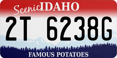 ID license plate 2T6238G