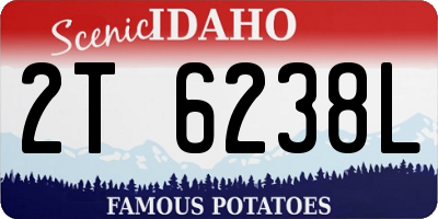 ID license plate 2T6238L