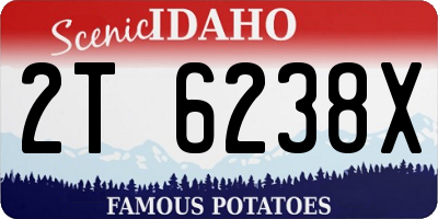 ID license plate 2T6238X