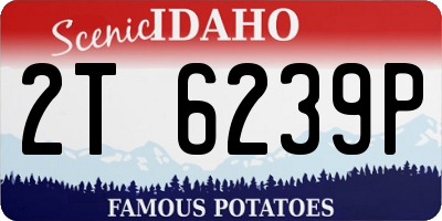 ID license plate 2T6239P