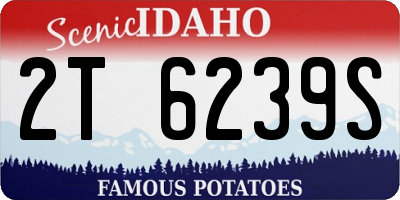 ID license plate 2T6239S