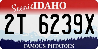 ID license plate 2T6239X