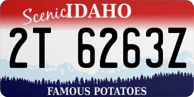 ID license plate 2T6263Z