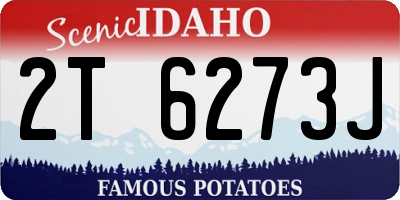 ID license plate 2T6273J