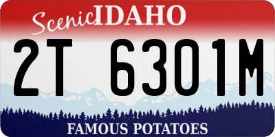 ID license plate 2T6301M