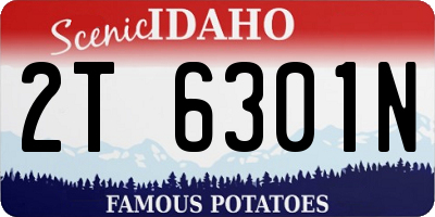 ID license plate 2T6301N