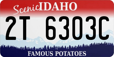 ID license plate 2T6303C