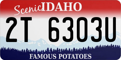 ID license plate 2T6303U