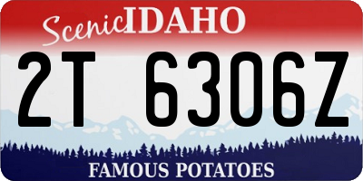 ID license plate 2T6306Z