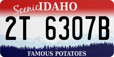 ID license plate 2T6307B