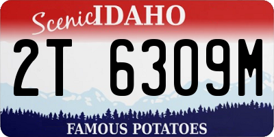 ID license plate 2T6309M