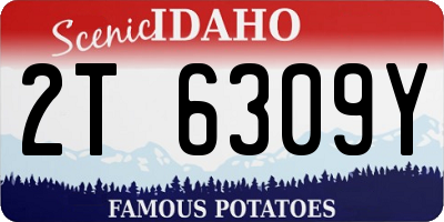 ID license plate 2T6309Y