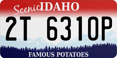 ID license plate 2T6310P