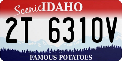 ID license plate 2T6310V